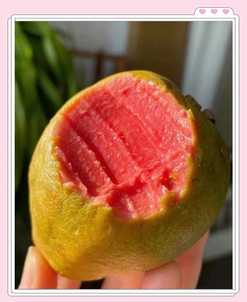 香蕉草莓芭乐鸭脖未满十八岁