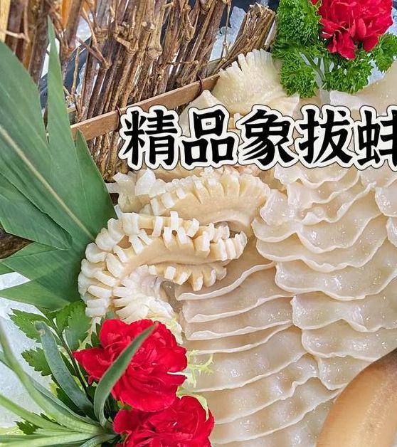 象拔蚌在线日本