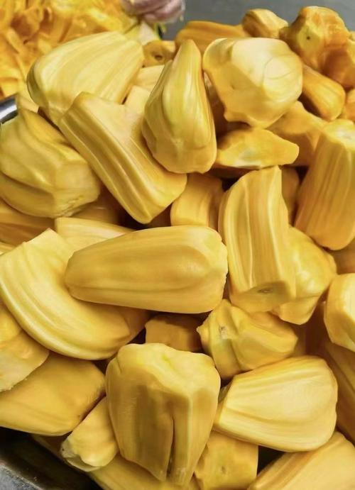 菠萝蜜国际视频