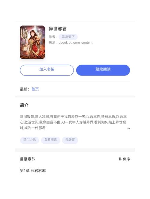 异世邪君小说下载