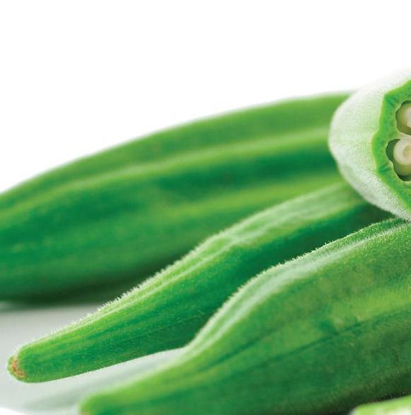 秋葵app女人的加油站TXT