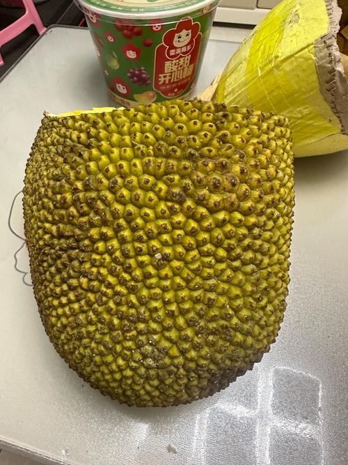 菠萝菠萝蜜Www免费