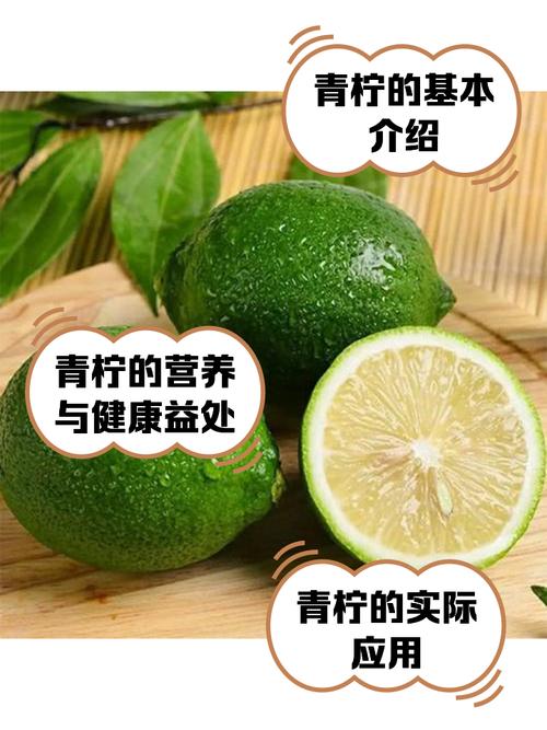 成年人青柠在线视频