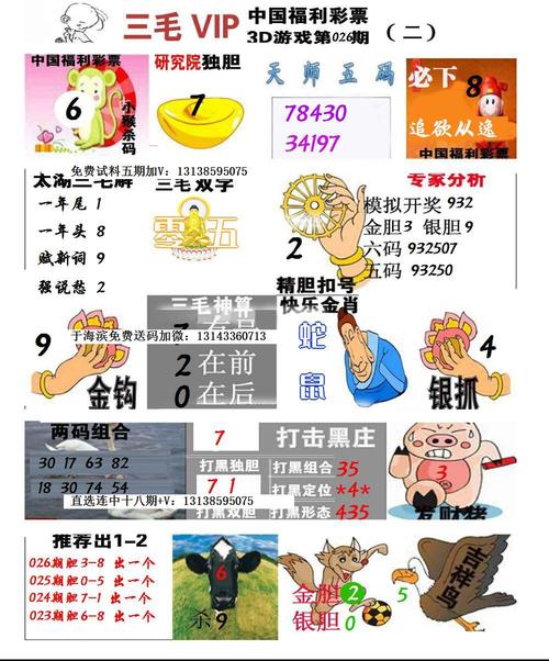 国产毛2卡3卡4卡视频