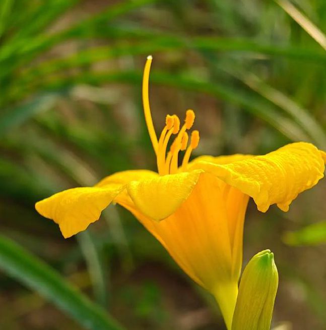 忘忧草社区视频在线播放