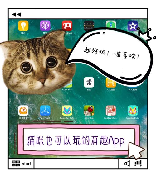 猫咪视频无限次iOS