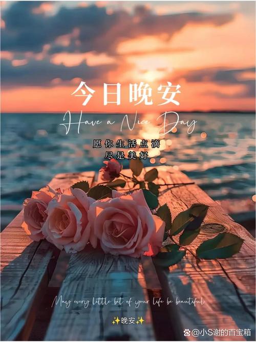 晚上必看的正能量视频下载