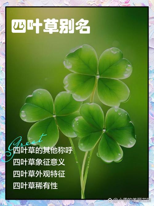 四叶草研究社黄