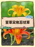 忘忧草app软件免费ios汅