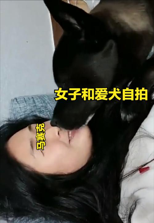 国产自拍视频在线一区