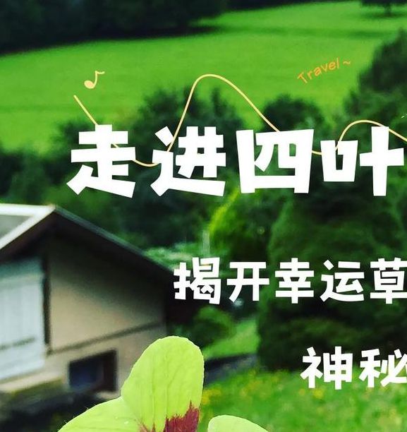 四叶草直播免费版