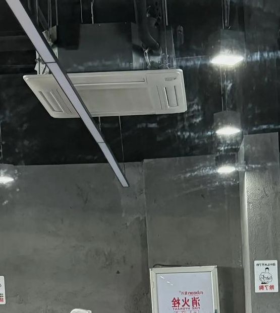 皮带抽打桃子翘臀sp在线播放