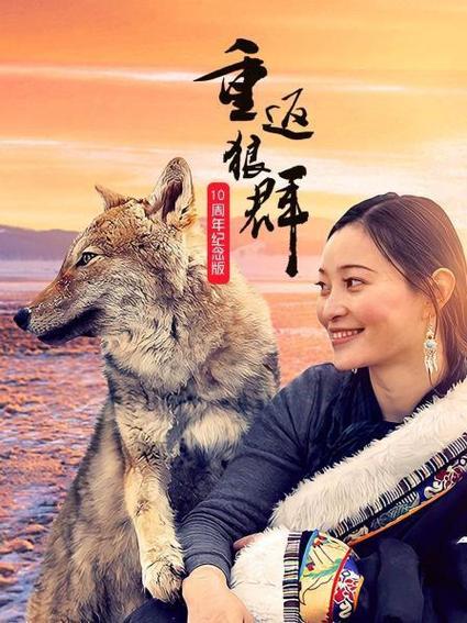 狼群看片