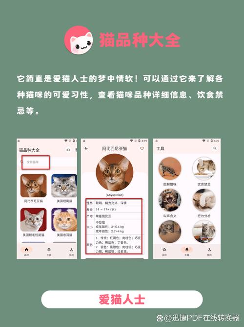 猫咪菠萝蜜草莓视频绿巨人