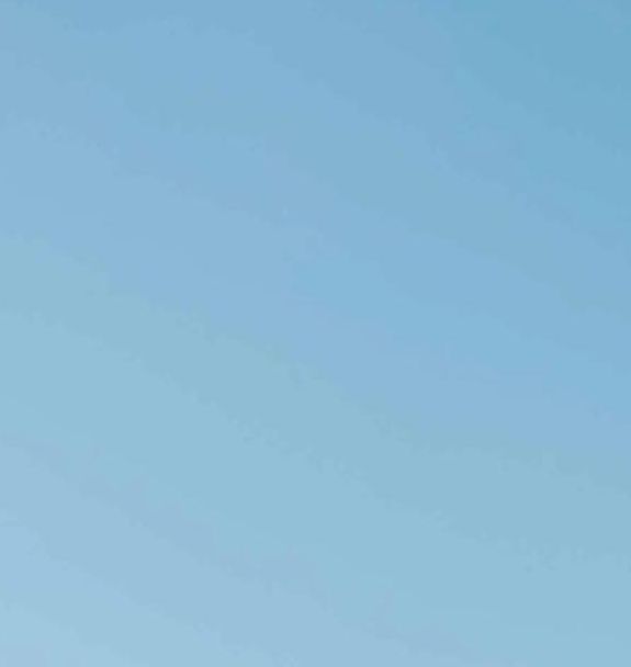 xrk1_3_0ark向日葵下载