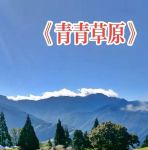 青春草原精品视频在线观看