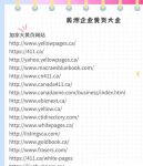 163黄页网又粗又长又舒服