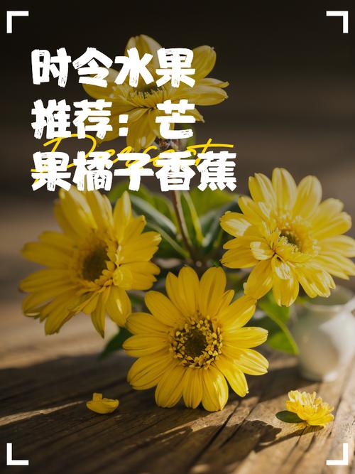 芒果草莓榴莲向日葵秋葵香蕉免费
