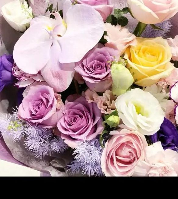 蕾丝视频非官方