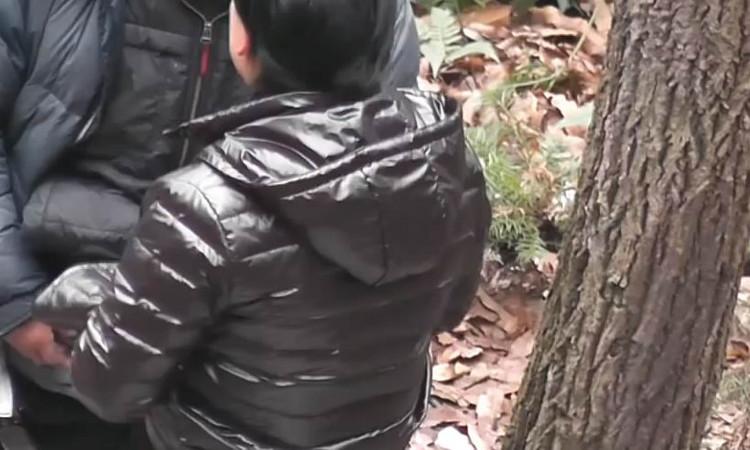 树林老头偷腥视频播放