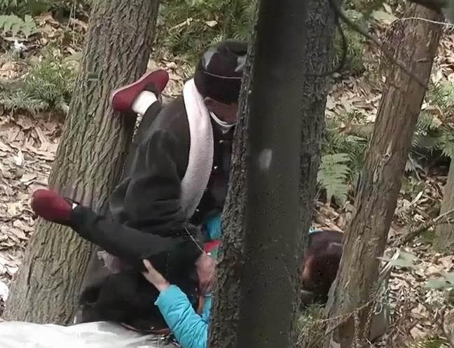 树林老头偷腥视频播放