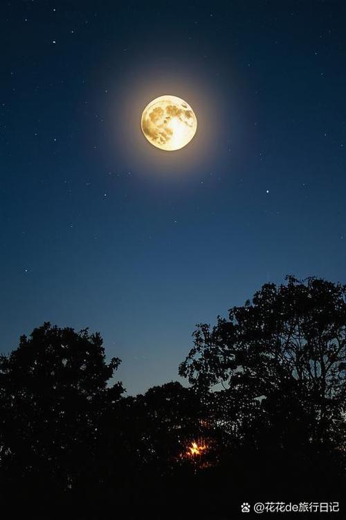 美好的夜晚从花季传媒开始黄