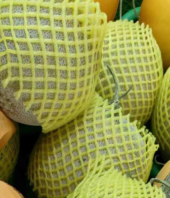 哈密瓜视频app懂你更多