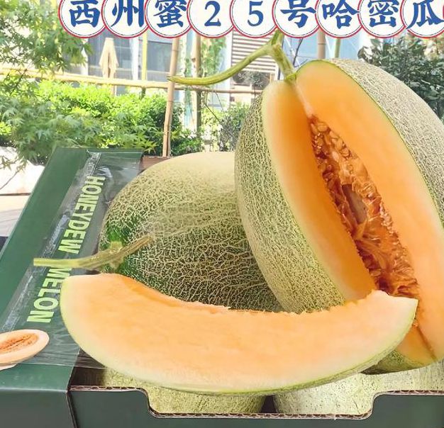 哈密瓜视频app懂你更多