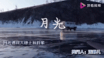 月光影视视频免费版
