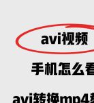 xvideos手机在线视频