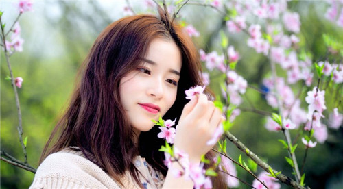 红杏视频新旧版本软件