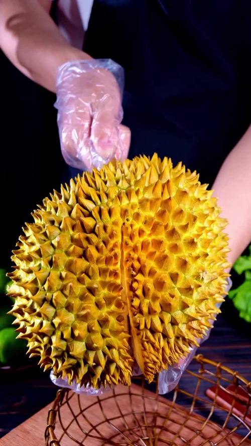 榴莲视频大全免费