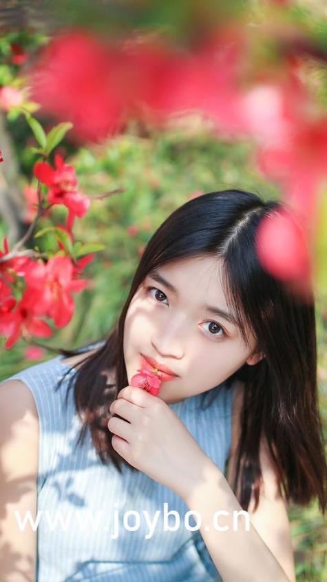 欧洲vodafonewifi18&radic;k下载中文版