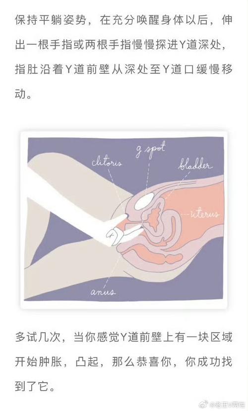 g点官方网站在线入口
