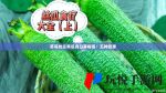 草莓丝瓜榴莲秋葵污污无限看在线观看下载APP