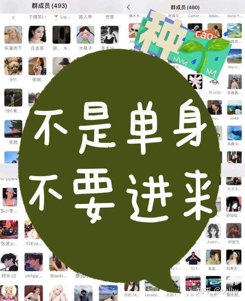 单身求爱客户端