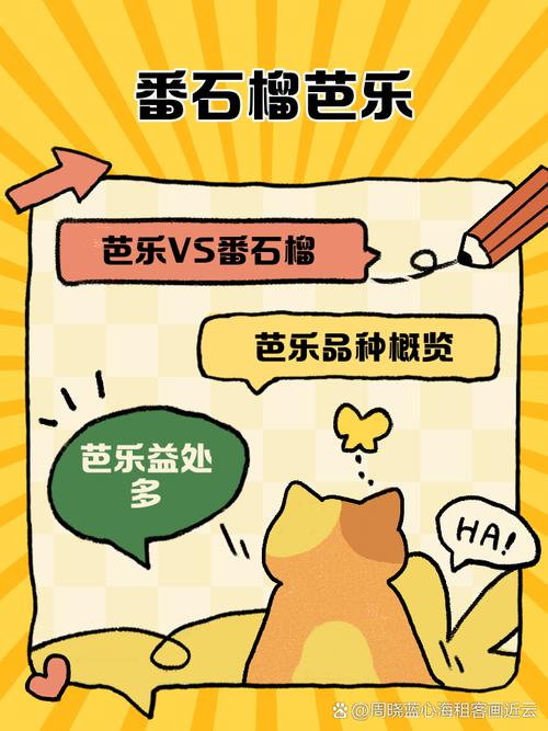 小蝌蚪榴莲芭乐