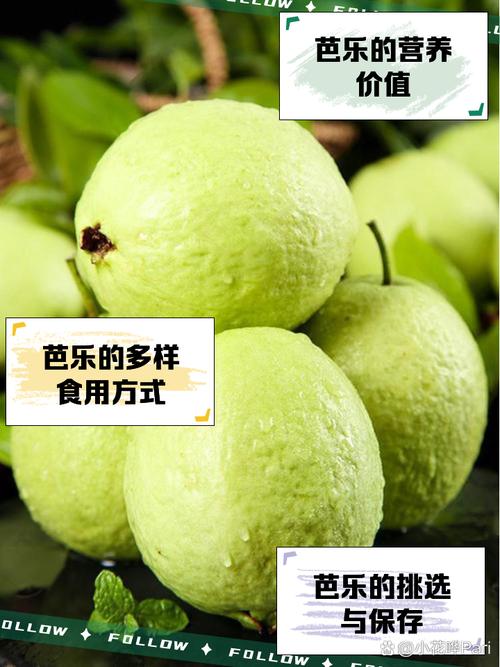 小蝌蚪榴莲芭乐