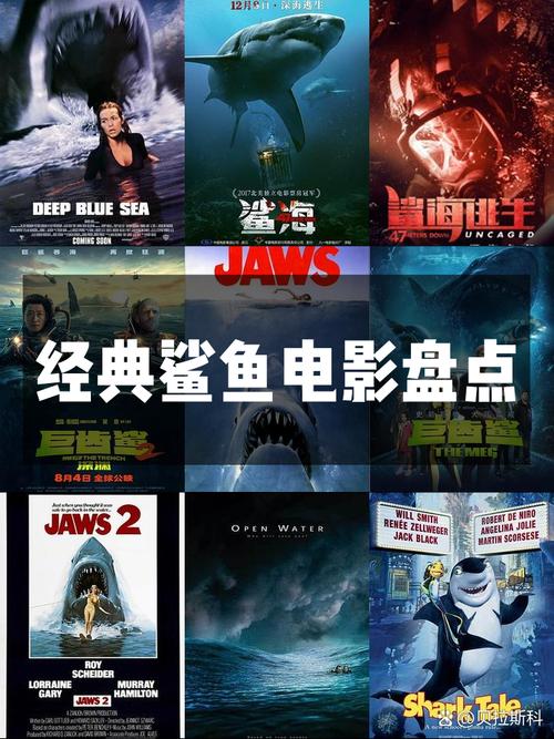 鲨鱼影视去广告版