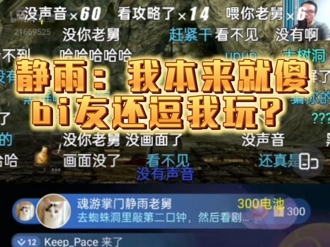 静雨在哪里直播