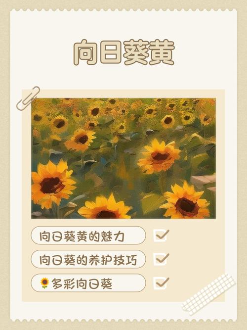 向日葵app下载汅api免费丝瓜