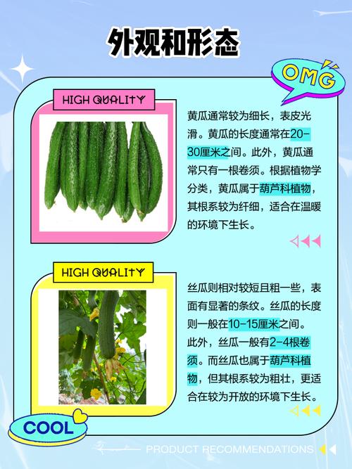 丝瓜黄瓜草莓向日葵秋葵榴莲污大全