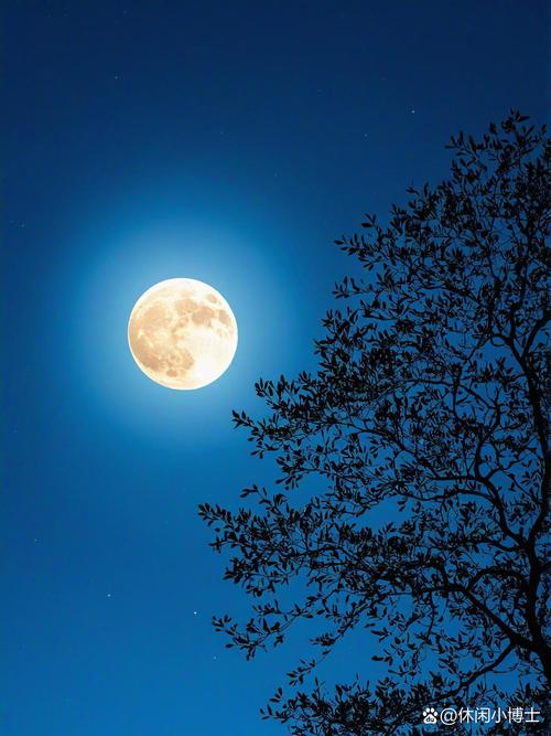 月夜影视高清完整版在线观看