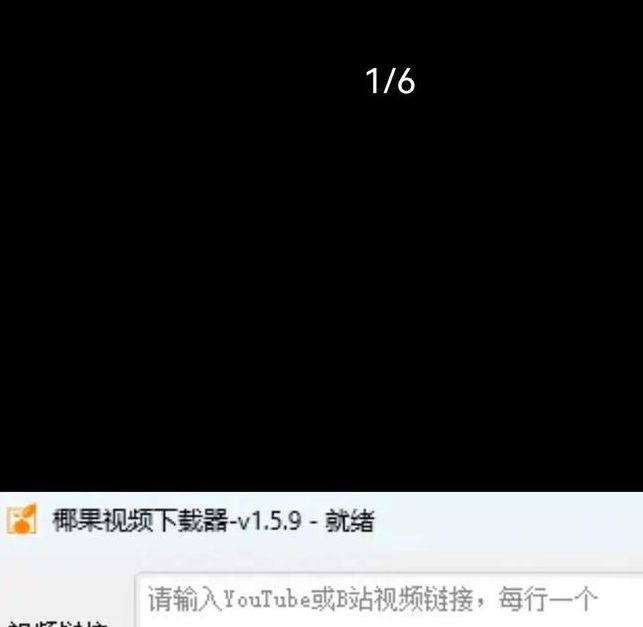 椰子视频直播下载