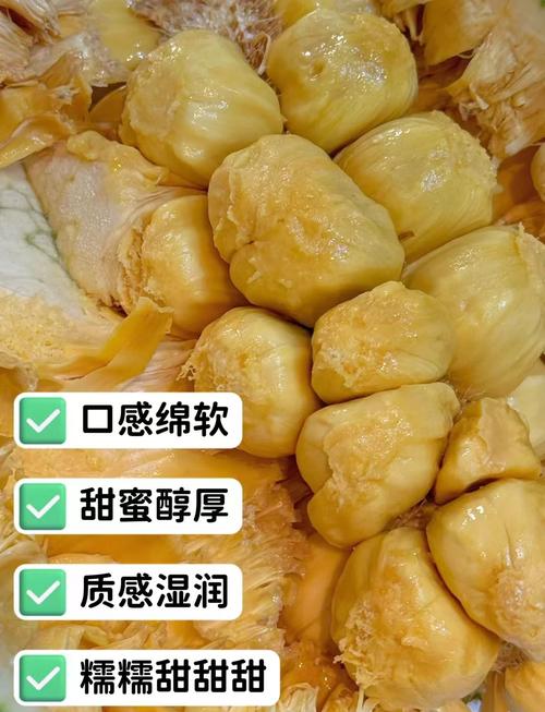 榴莲草莓菠萝蜜视频下载