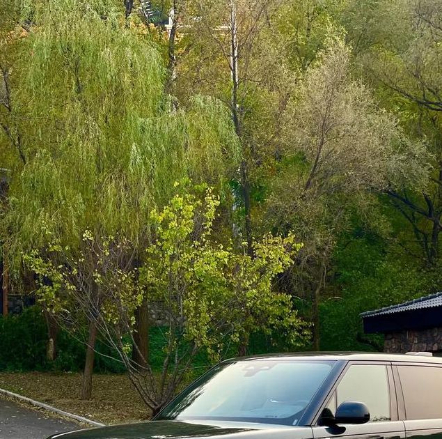 四路虎网址大全