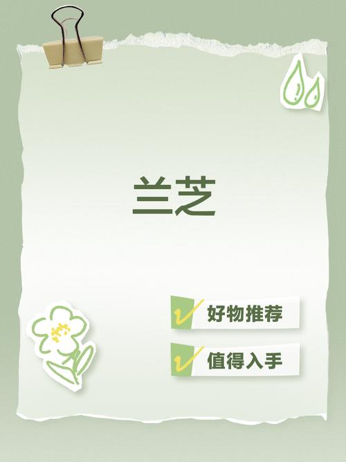仙芝兰交友app