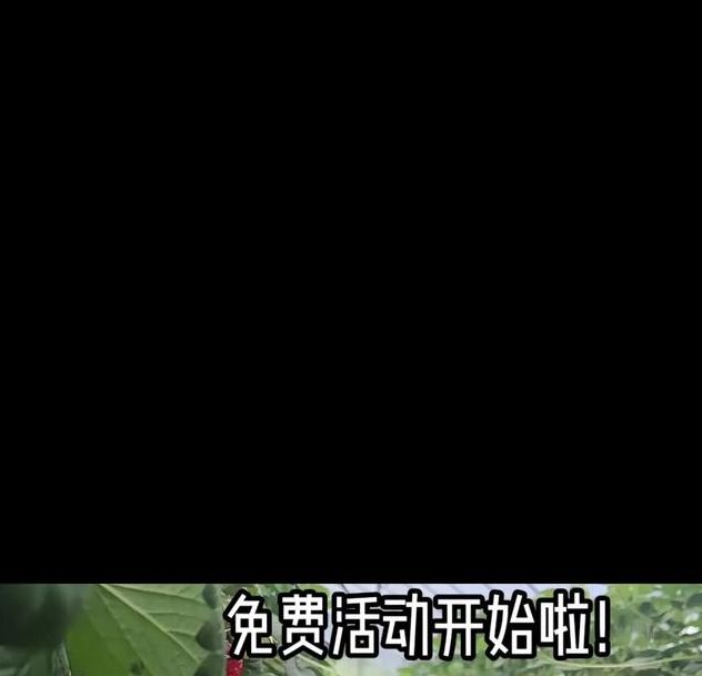 草莓榴莲向日葵18岁二维码