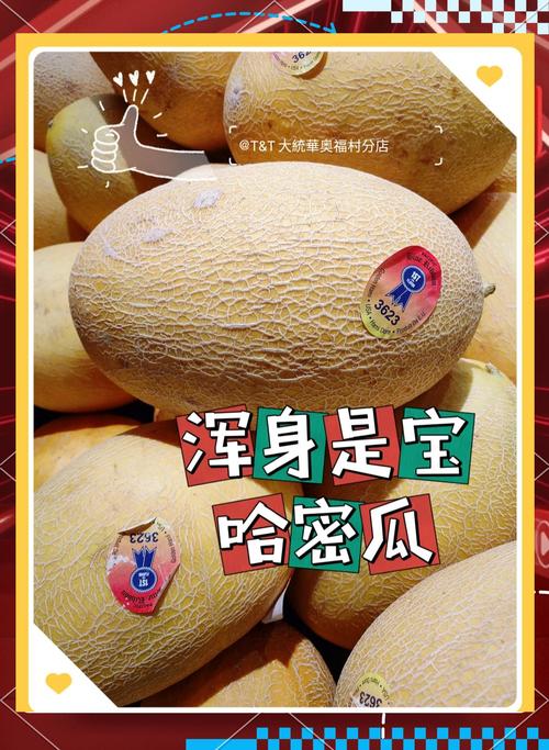 哈密瓜视频安卓版