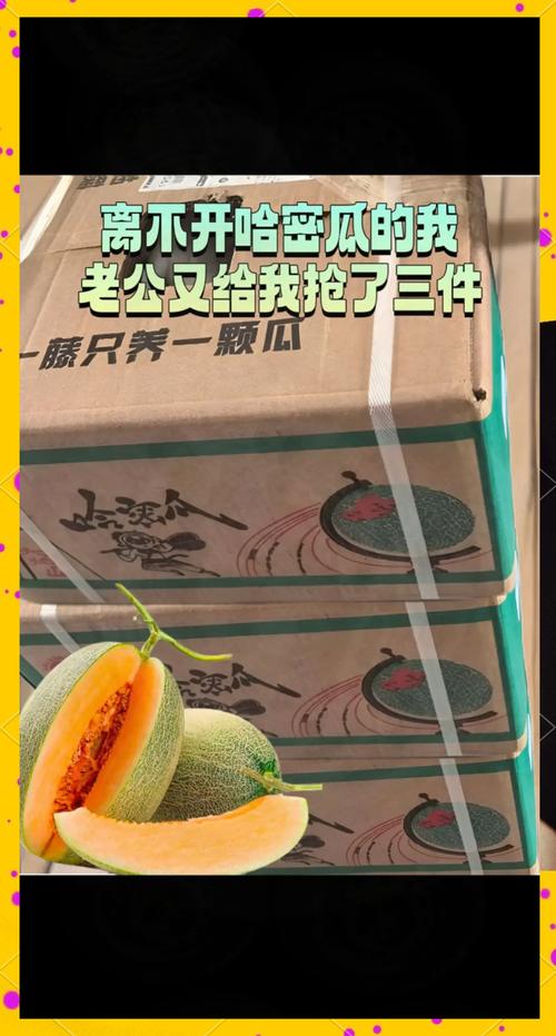 哈密瓜视频安卓版